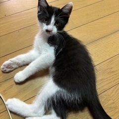 好奇心旺盛の女の子です^_^