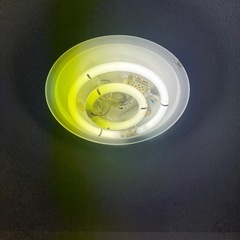 天井蛍光灯照明の画像