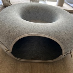 お話中　キャト🐈‍⬛　ドーナツトンネルの画像