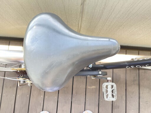 フジRAIZ ジオクロス プラス FV76BI27インチ6段変速LEDライト