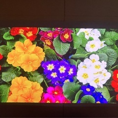 シートタイプスクリーン102インチの画像