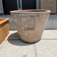 植木鉢／プランター差し上げますの画像