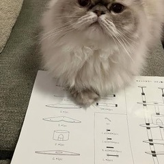 ヒマラヤン