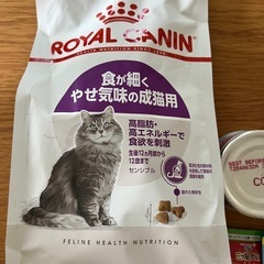 猫の餌　【ちゅーる　ロイヤルカナン　三つ星ジュレなど】の画像