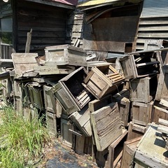 養蜂箱
の画像