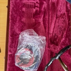 エレキギターケースの画像