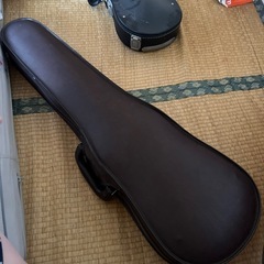 白いバイオリンの画像