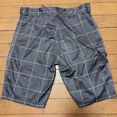 TYR ティア 水陸両用 ハーフパンツ メンズ Mサイズの画像