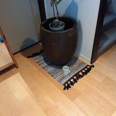 デカい！植木鉢最終値下げました！の画像
