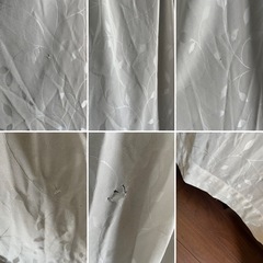 ニトリ レースカーテン 遮光／防炎の画像