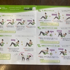 【ストレッチ】ゆらころんの画像