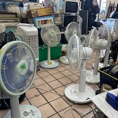 扇風機　大量入荷🎉