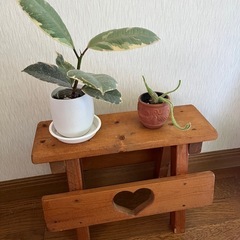 ★踏み台★飾り★の画像