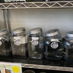 宇部新鮮館厚南店　メダカ　めだかの画像