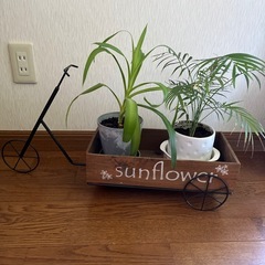 ‼️値下げ！最終価格‼️★オシャレな植木置き★ガーデニング★の画像
