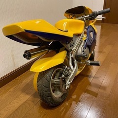 ポケバイ