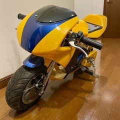 ポケバイの画像