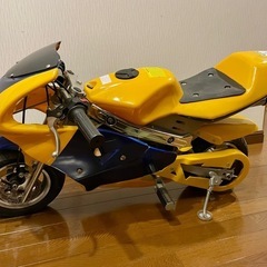 ポケバイの画像