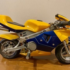 ポケバイの画像