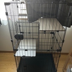 猫ゲージの画像