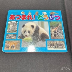 サムネイル