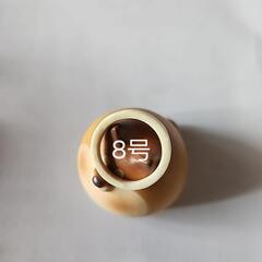 シカ角　リング8号の画像