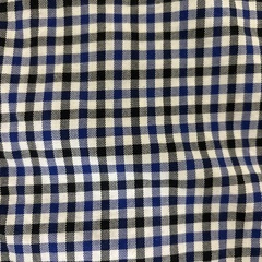 POLO BCS ギンガムチェックシャツの画像