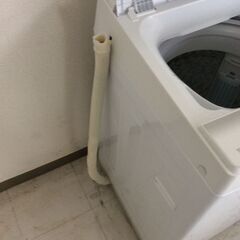 JT10953【TOSHIBA/東芝 5.0㎏洗濯機】美品 2023年製 AW-5GA2 家電 洗濯 簡易乾燥付 Wシャワー洗浄 カセット式糸くずフィルターの画像