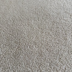絨毯