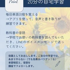 英語の夏期講習10回22000円（オンライン）の画像