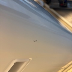 年末
セール‼️洗濯機8kg　ほぼ新品の画像