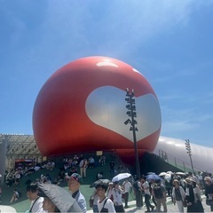 立ち上げメンバーを募集します。4-6名。