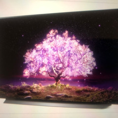 LG 有機ELテレビ 48c1pja