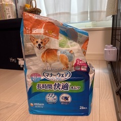 マナーウェア　長時間快適オムツ　Lサイズ　開封済みの画像