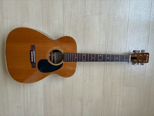 アコギ Pro Martin F-170