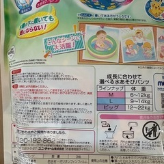 水遊び紙パンツの画像