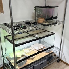 ルミナススリムスチールラック