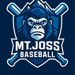 ⚾️チームメンバー募集⚾️