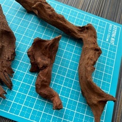 【サービス品】マングローブ系流木セット３の画像