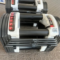 可変式ダンベル22kg セットの画像