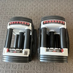可変式ダンベル22kg セット
