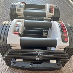 可変式ダンベル22kg セットの画像
