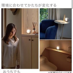 ニトリ 室内・屋外兼用電池式センサーライト授乳用ライトの画像