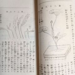 古流生花講義　全　（古本）の画像