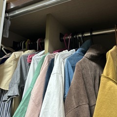 鏡つき衣類収納の画像