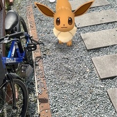🎉【ポケモンGO好きさん集合！】LINEグループ新設メンバー募集中🎉 - チャット