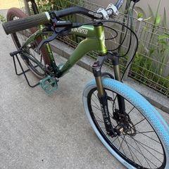 Specialized P.1 Allmountain disk...
