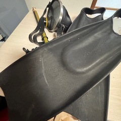 シュノーケルゴーグルとフィン　