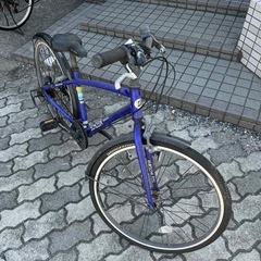 ⭐️小中学生向け 24インチ ブリヂストン SCHLEIN (シ...