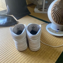 エアジョーダン1の画像